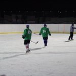 Hokej - PlayOff 2014 - Sokol vs Sokolíci