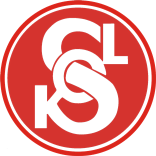 sokol-logo